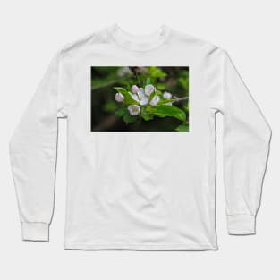 Apple Blossom Long Sleeve T-Shirt